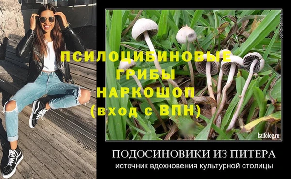spice Каменногорск