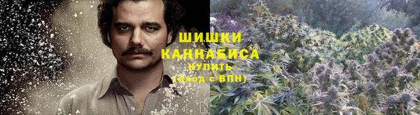 spice Каменногорск