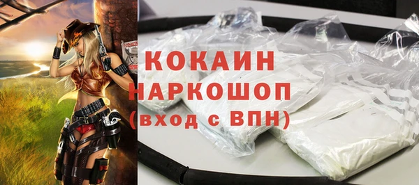 спиды Каменка