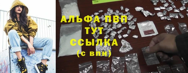 спиды Инта